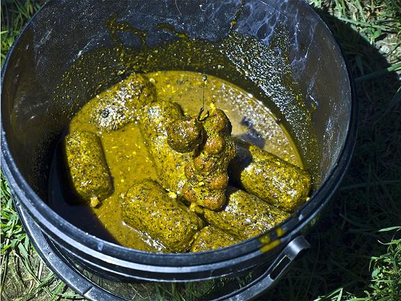 Carp Servis Vaclavik csl cornkiller