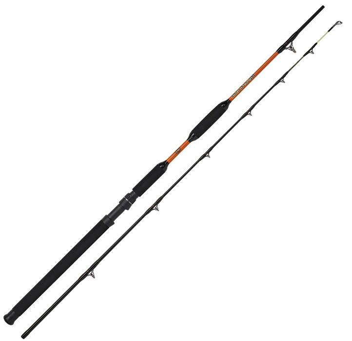 WFT Prut Never Crack Bank Cat II 270cm 200-1000g 2-díl