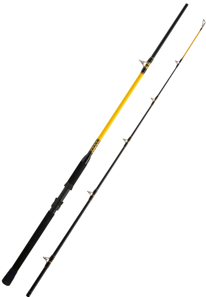 WFT Prut Never Crack Catfish Boat LTC 270cm 250-1000g 2-díl