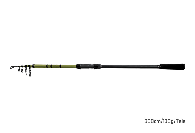 DELPHIN Prut Partisan 300cm 100g