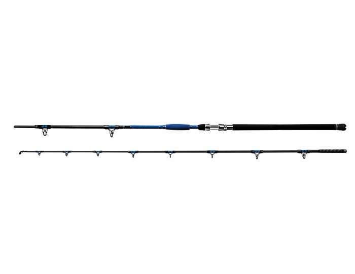DELPHIN Prut Hazard 285cm 500g 2-díl