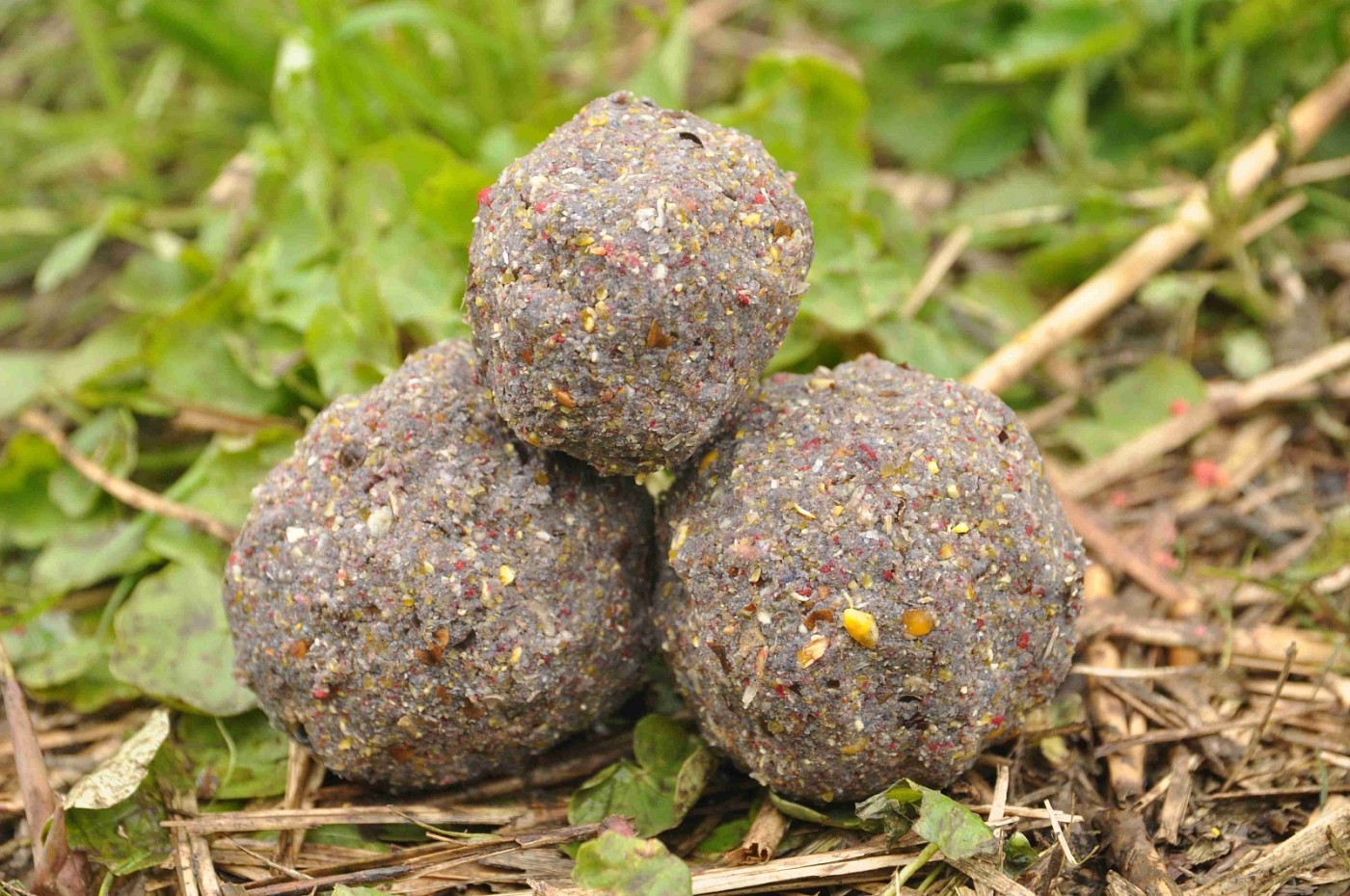 MIVARDI Krmítková směs V1 CARP Mango