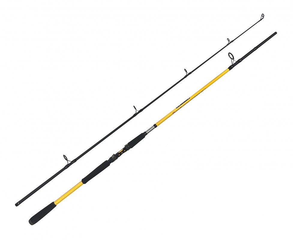 ZFISH Prut Kodiak 240cm 250g + Zeus ZX8000