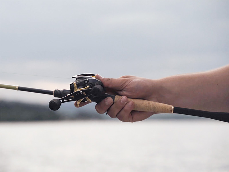 DELPHIN Naviják Zandera