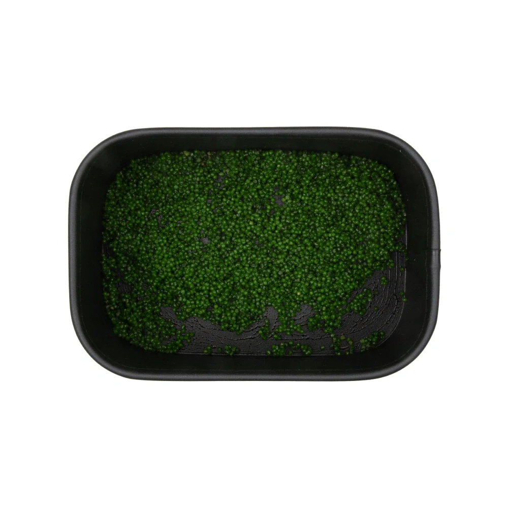 BAITNOW Liquid Method Feeder VOO DOO Hybrid 50ml