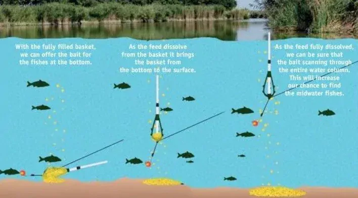 CRALUSSO Pop-Up Feeder Basket Fix