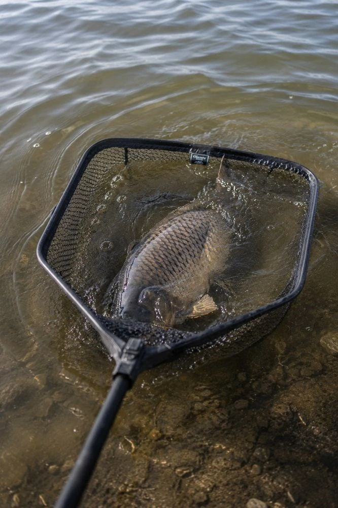 GIANTS FISHING Plovoucí podběrák s pogumovanou síťkou Luxury X-large Float 80x70 cm