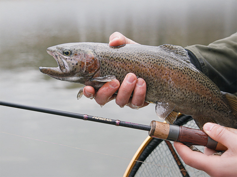 DELPHIN Prut TROUTERA SoftLURE 210cm 7g 2-díl