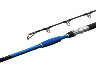 DELPHIN Prut Hazard 330cm 500g 2-díl