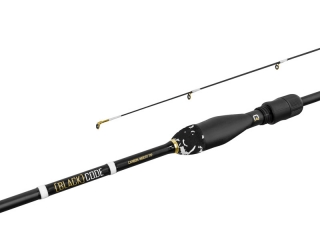 DELPHIN Prut Black Code C.I.T. 213cm 9g 2-díl