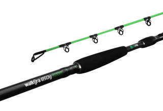 DELPHIN Prut WALKYRA 260cm 850g 2-díl