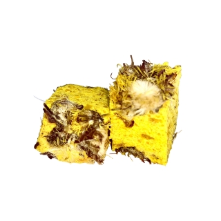 LK BAITS CUC! Speciál Carp Record Corn 90g