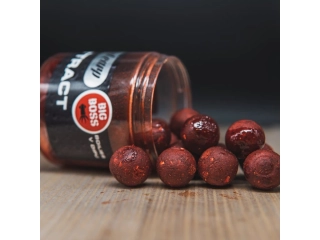 SQUAT CARP Boilies v dipu Hi-Attract Big Boss 24mm 220g