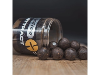 SQUAT CARP Boilies v dipu Hi-Attract Anchovy+ 20mm 220g