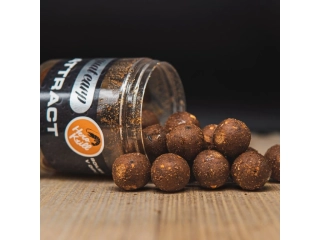 SQUAT CARP Boilies v dipu Hi-Attract Hero Krill 20mm 220g