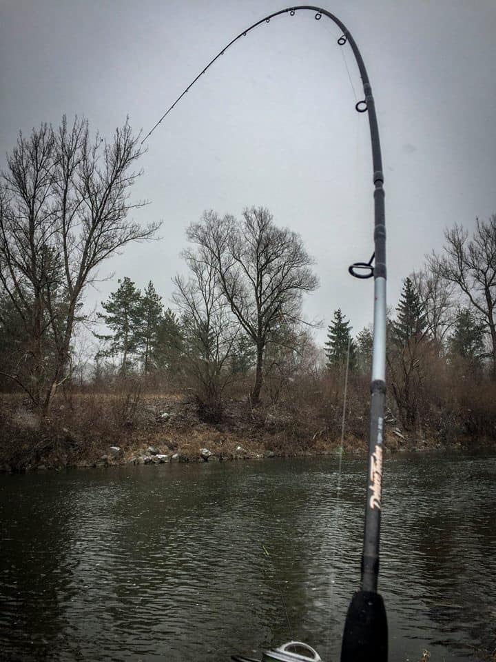 Giants Fishing Deluxe Feeder